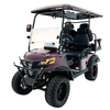 Factory Price Anti - Roll Bars Golf Cart with Quick-Dry Material