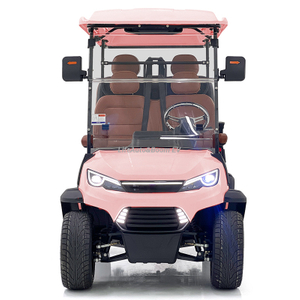 High-performance Popular Golf Cart for Leisure Sightseeing with 4 Passengers and an Instrument Panel