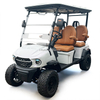 Ladies' 4-Seater Electric Golf Cart with Graceful Design and Unique Shape Compatible with Club Car