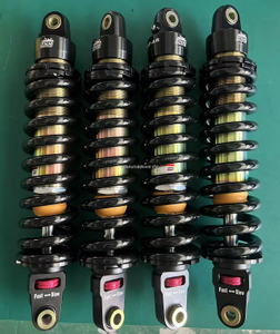 Adjustable Shocks
