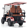 High-performance Popular Golf Cart for Leisure Sightseeing with 4 Passengers and an Instrument Panel