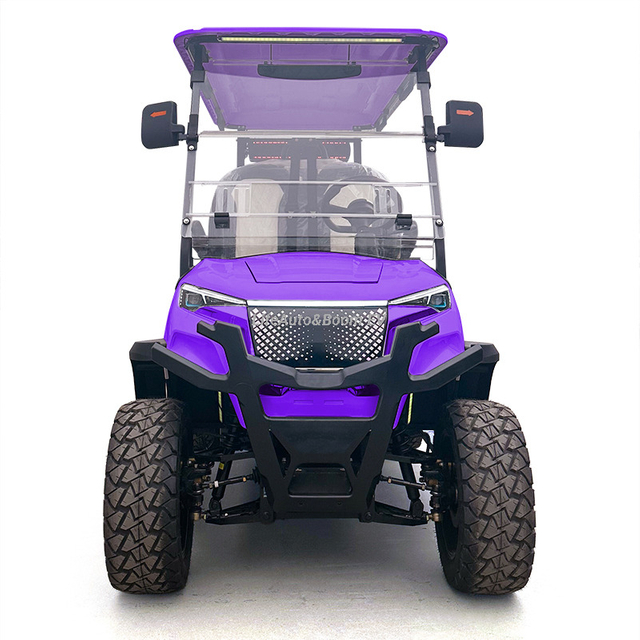 Customized 4-Seater Electric Golf Cart AC Motor and Lithium Battery 