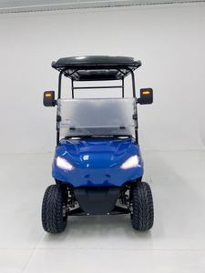 Stylish Look Quick Acceleration Golf Cart with Anti-Slip Surface