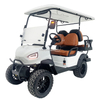 Durable Build Responsive Brakes Electric Golf Cart for Landscape Work