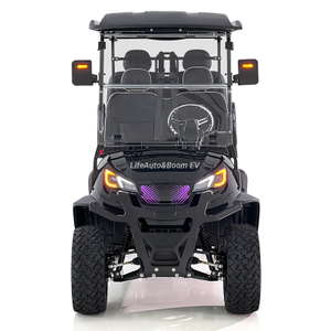 High Quality Agile Maneuver Electric Golf Cart with Lightweight Seat 48V Battery Voltage