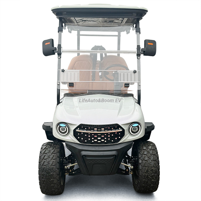 Ladies' 4-Seater Electric Golf Cart with Graceful Design and Unique Shape Compatible with Club Car