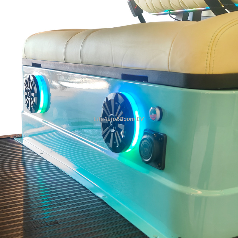 Customized 4-Seater Electric Golf Cart AC Motor and Lithium Battery for Sightseeing and Hunting