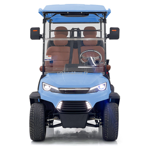 High-Performance 5kw Electric 2+2 Passenger Golf Cart DOT and EEC Certified for Leisure Sightseeing