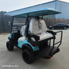 Easy Drive Quick Acceleration Golf Cart 48v Electric with Wide Seating